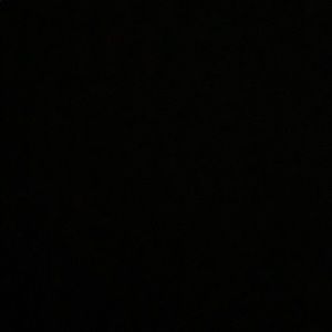 Meet your Posher, Bella